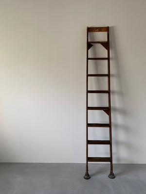 ラダー / ladder #0227